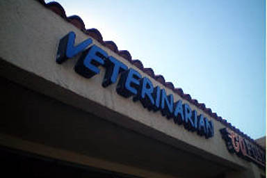 Camino Veterinary Clinic