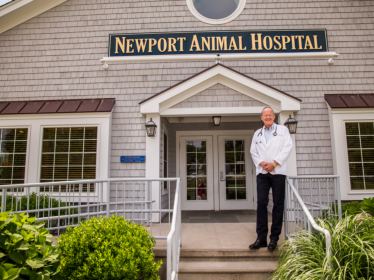 Newport Animal Hospital