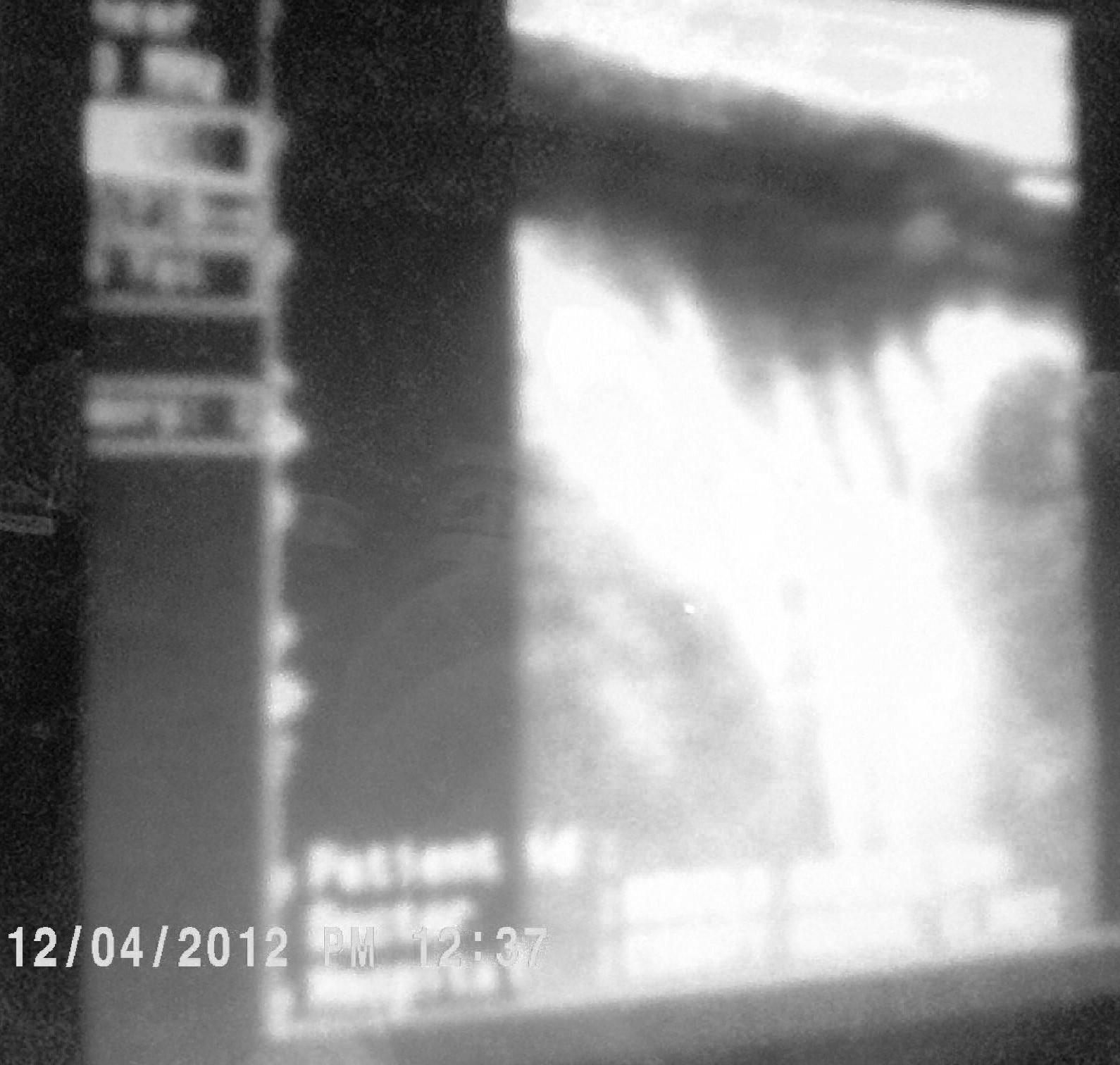 ultrasound_picture.jpg