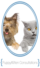 charles town veterinarian dog and cat care
