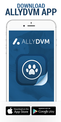 Allydvm App