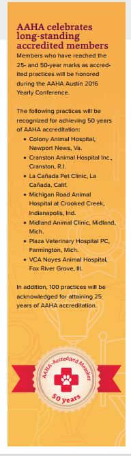 Indianapolis AAHA veterinarian