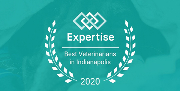 Expertise Best Veterinarians in Indianapolis