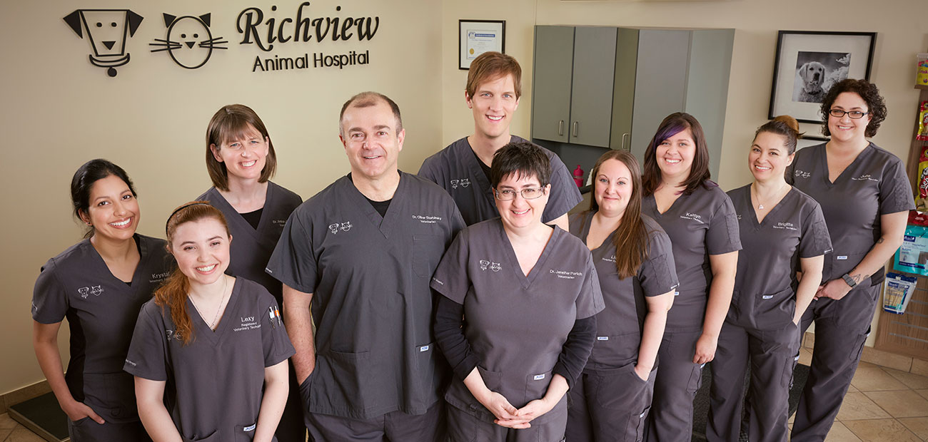 Richview Animal Hospital staff