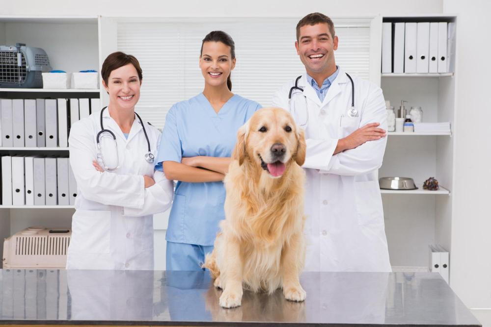 group of veterinarians with dog