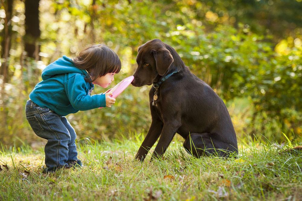 young boy playing with his dog