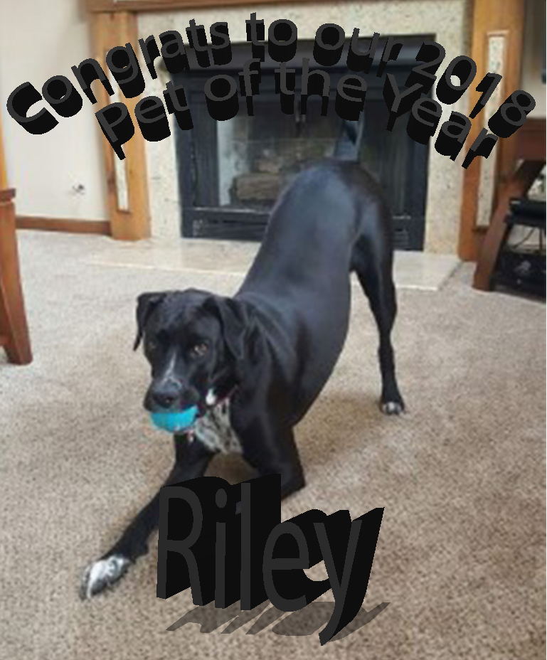 Picture of Riley 