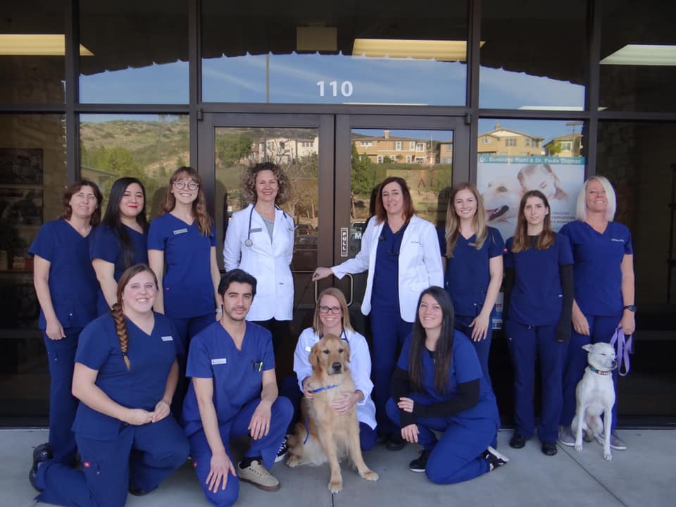 Photo of Staff of Advanced Veterinary Care of San Elijo