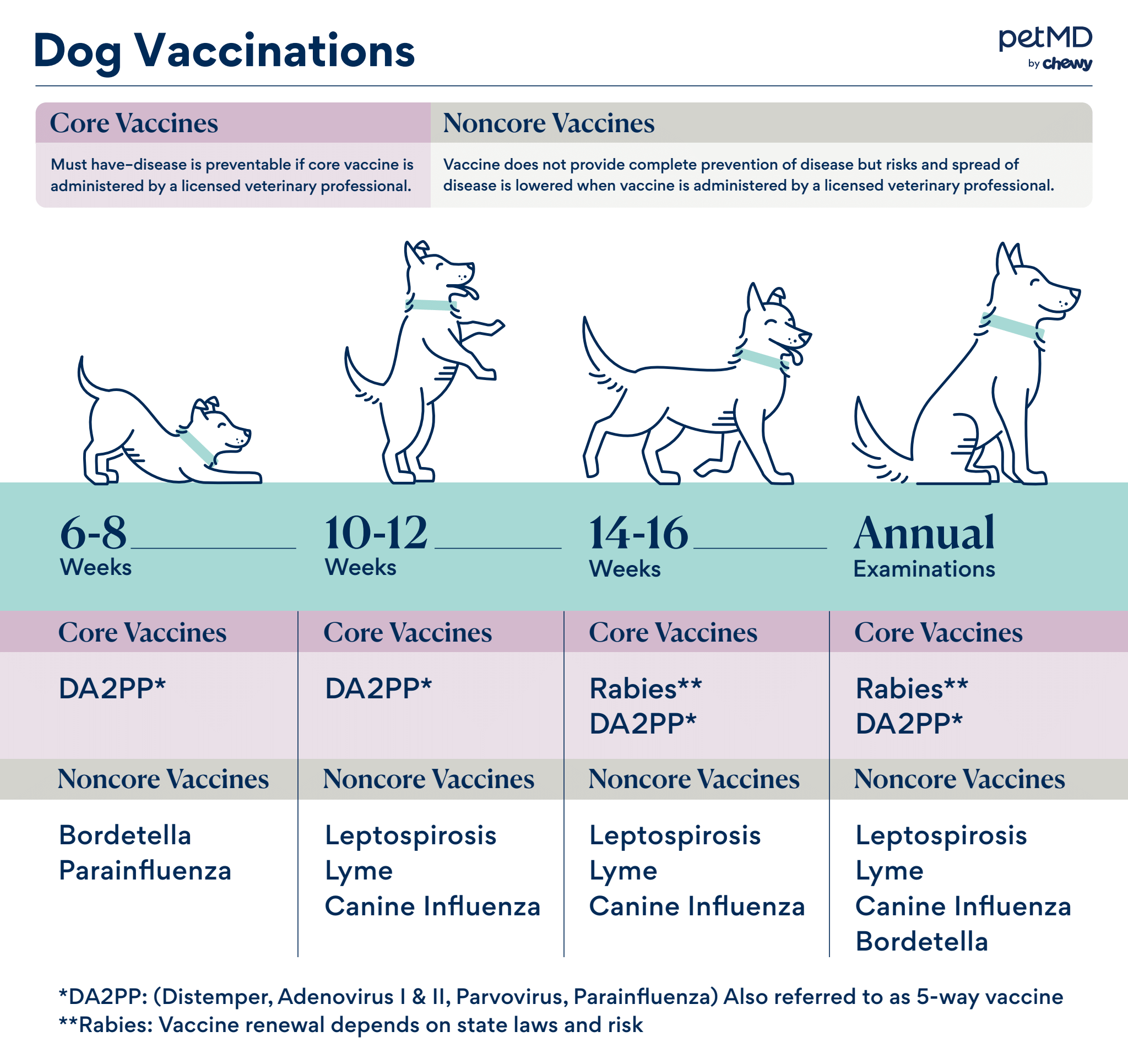 https://www.petmd.com/dog/care/dog-vaccinations-for-every-lifestage