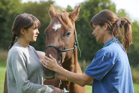 Doctor and client looking at horse